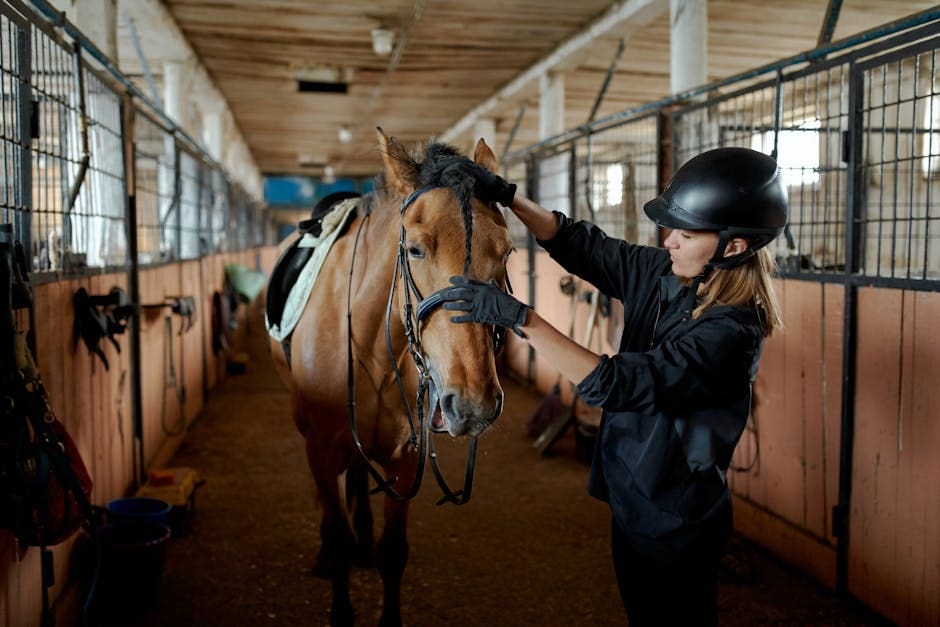 A handler in dark clothing grooms a brown horse in a well-lit stable facility with multiple stalls visible in the background.
