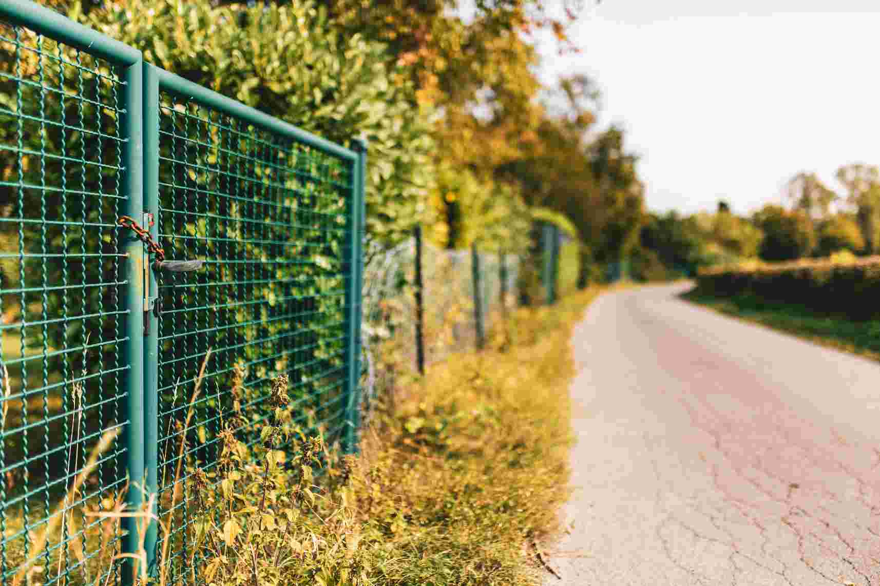 A green metal fence lines a quiet rural pathway bathed in golden afternoon light, with overgrown vegetation and trees in the background.
